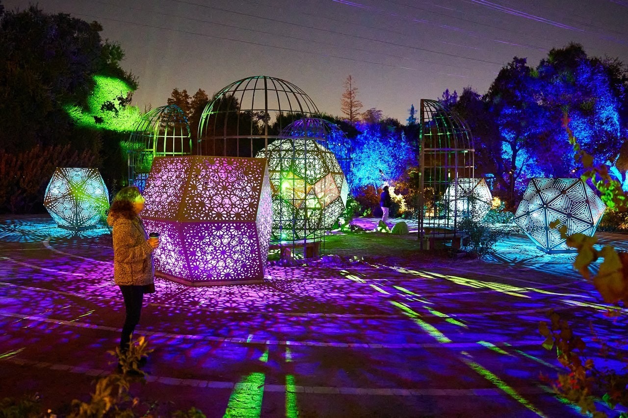 Enchanted Forest Of Light At Descanso Gardens Visit Pasadena enchanted-forest-of-light-at-descanso-gardens-visit-pasadena